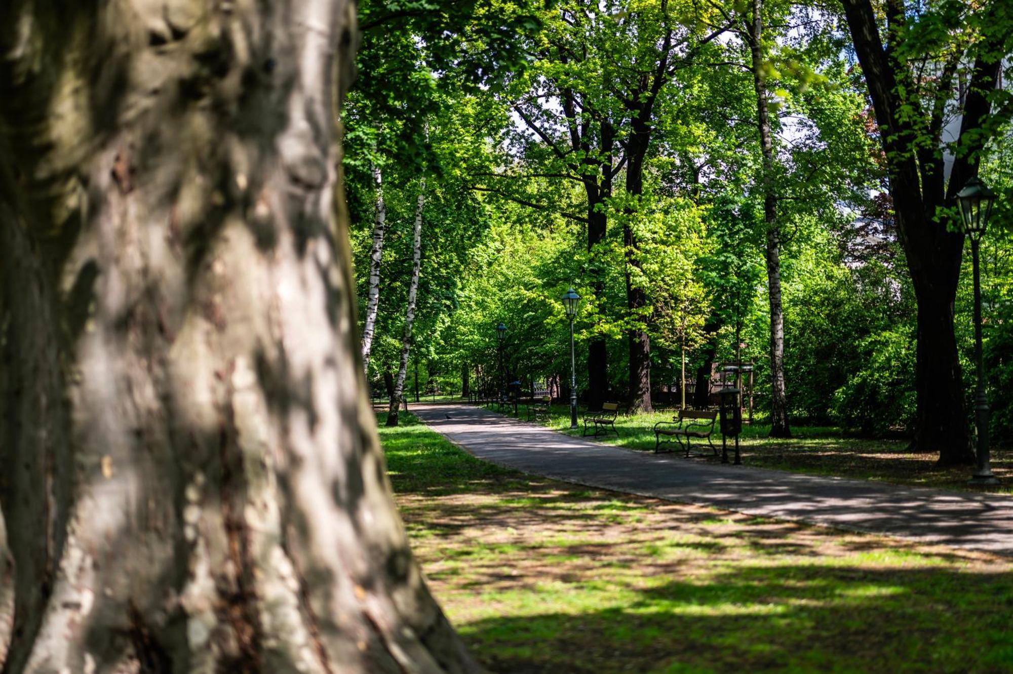 Wenecja Parking Gratis Moxy Te&Am Cracow Daire Krakow Dış mekan fotoğraf